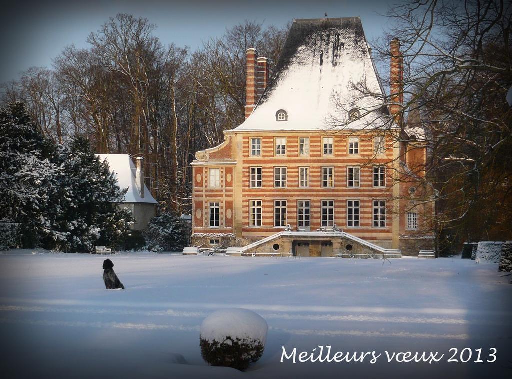 Bed and Breakfast Chateau De Beneauville à Petiville  Extérieur photo